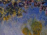 Wisteria 2